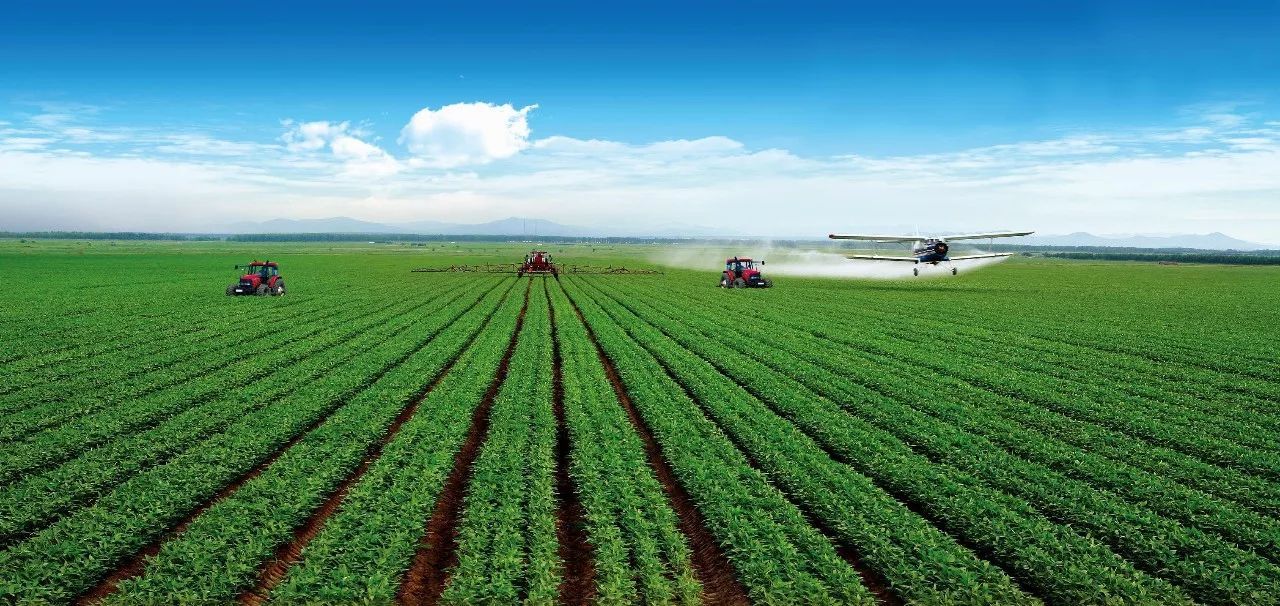 1594085820455799.jpeg 1fae4d9ac6254b448416a9979e18bcd1.jpeg